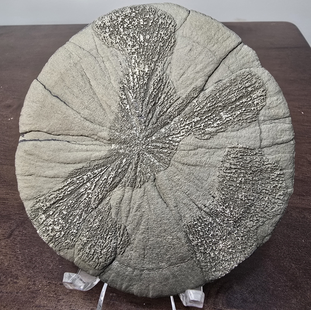 Pyrite Sun Crystal 3.8 inches - Picture 9 of 11